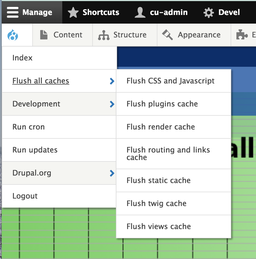 cache options